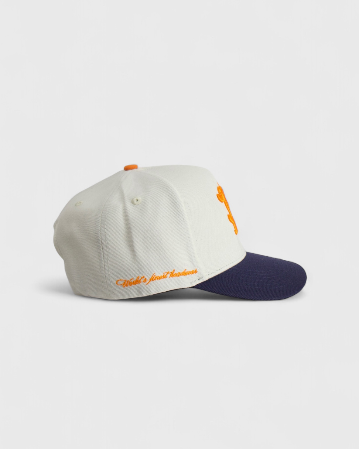 DETROIT SNAPBACK