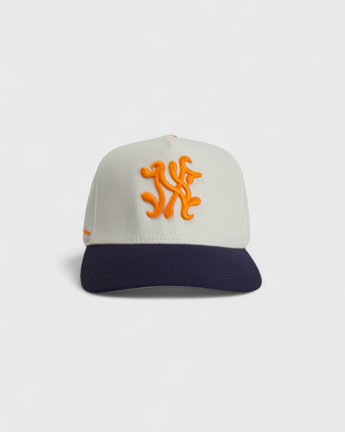 DETROIT SNAPBACK